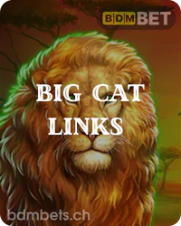 Big Cat Links jackpot slot